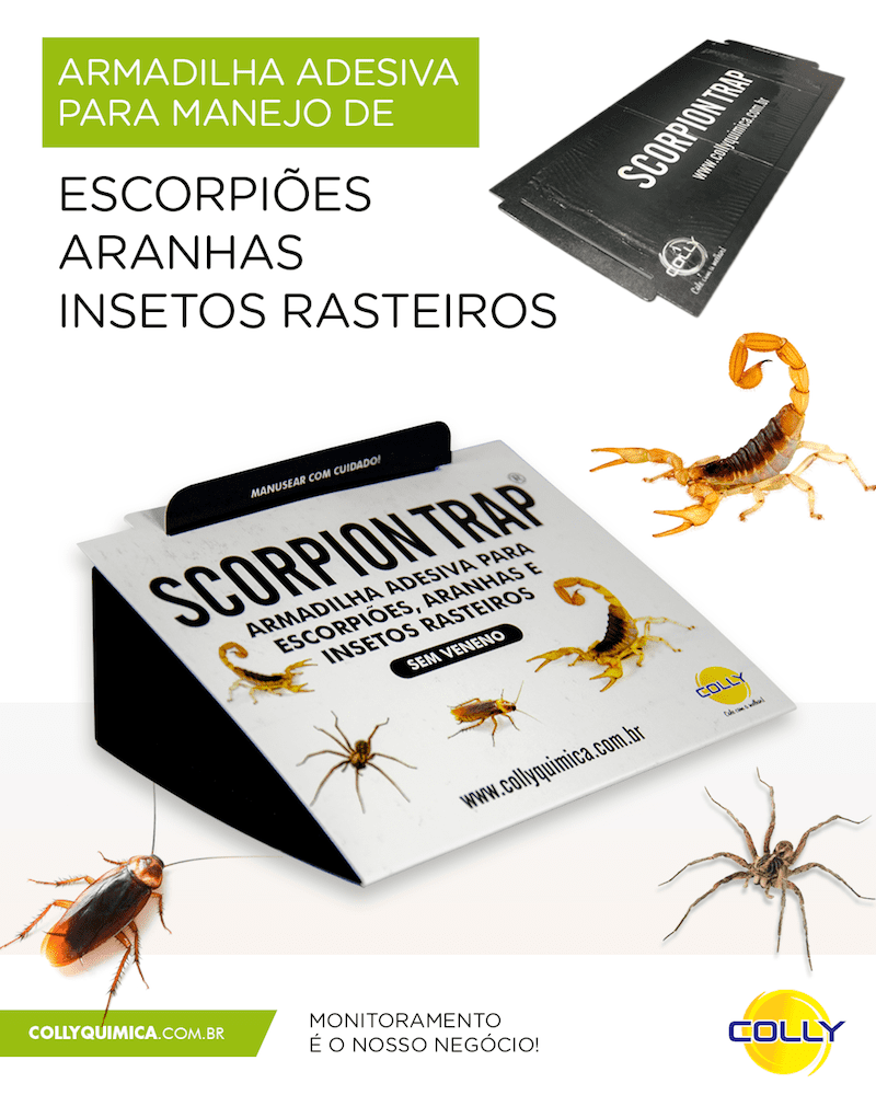 A armadilha adesiva Scorpion Trap, sem veneno, é utilizada para monitoramento e controle de aracnídeos, insetos rasteiros e pequenos invasores. A praga é capturada quando entra em contato com a superfície do adesivo.