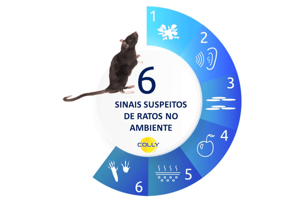 6 Sinais Suspeitos de Ratos no Ambiente: manchas, barulho, fezes, marcas de mordidas, odor, e pegadas.