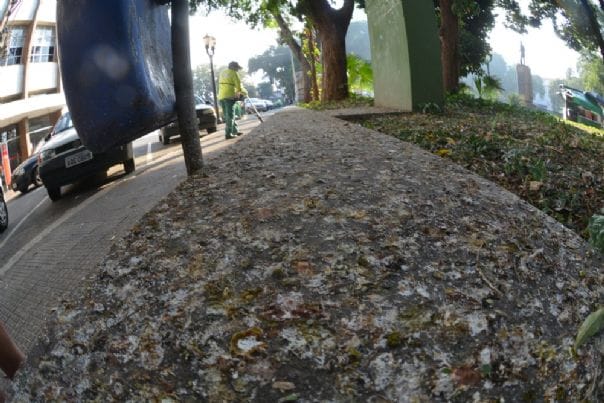 Para identificar áreas de infestação de pombos, é importante prestar atenção em alguns sinais. O primeiro é o barulho constante de pombos voando ou piando em determinada região. Além disso, é comum ver muitas fezes de pombo no chão ou em superfícies próximas a edifícios e construções.