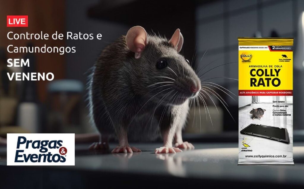 O CEO da Colly e Coleagro, Alexandre Andrade, e Denilson Lehn, Diretor do portal Pragas & Eventos compartilham estratégias eficazes para controlar ratos e camundongos sem o uso de veneno, protegendo sua saúde e o meio ambiente