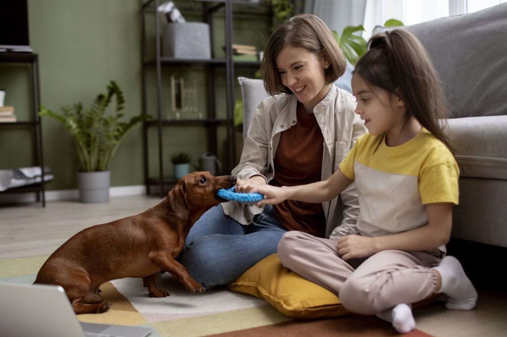 O clima chuvoso e quente, típico desta temporada, é o cenário perfeito para a atividade dos escorpiões! Sua família e seus pets estão seguros? Nossa Armadilha Adesiva Scorpion Trap é uma solução segura e eficaz!